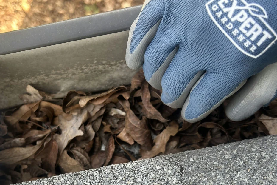 Gutter Cleaning Walterboro