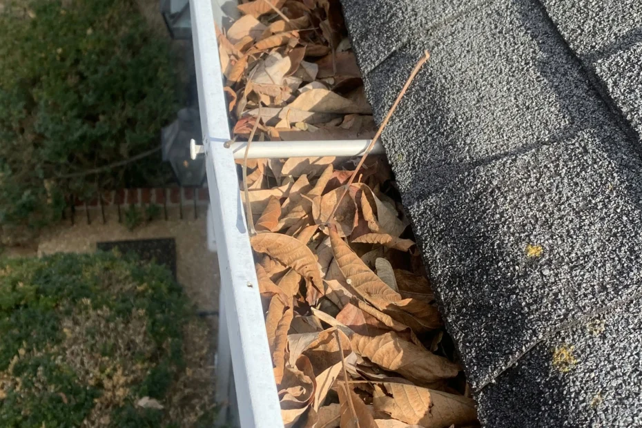 Gutter Cleaning Walterboro