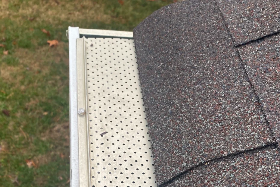 Gutter Cleaning Walterboro