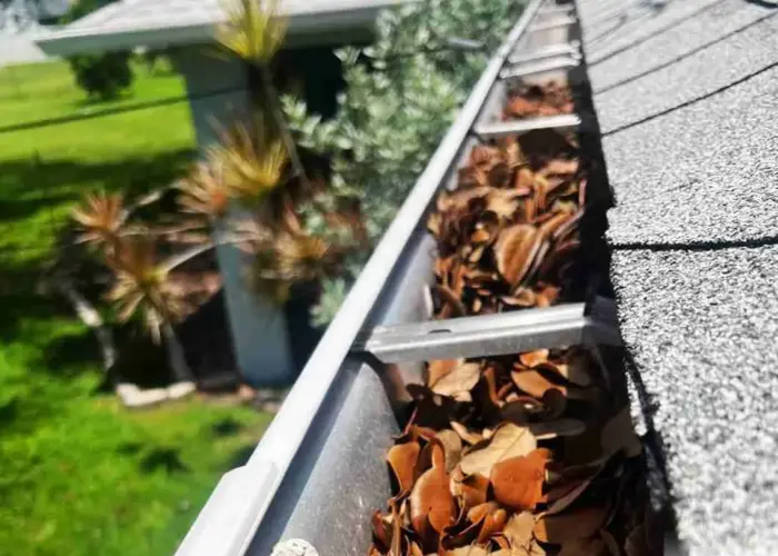 Gutter Cleaning Walterboro home page